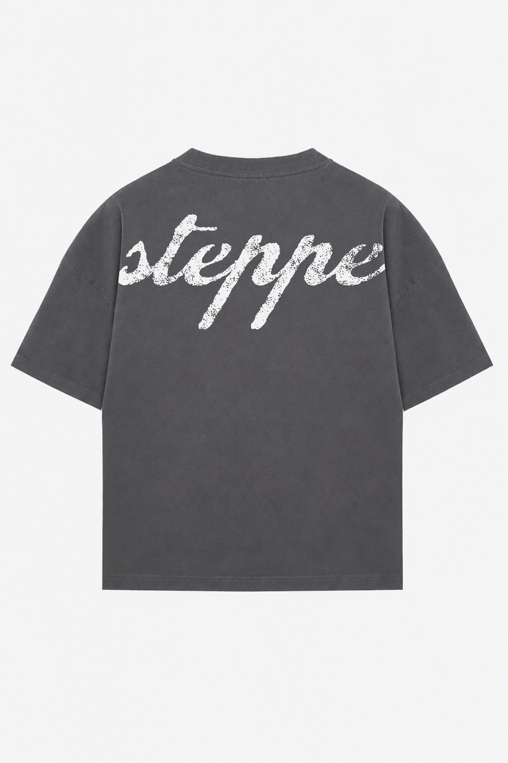 Premium Heavyweight Steppe (Bozkır) Baskılı Oversize Tişört