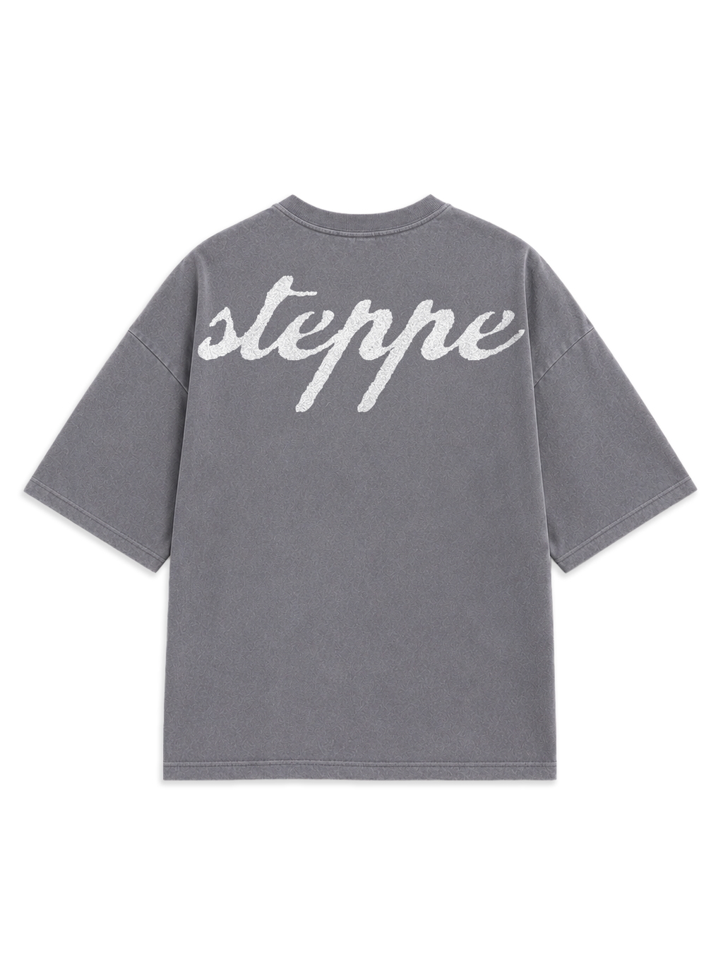 Premium Heavyweight Steppe (Bozkır) Baskılı Oversize Tişört